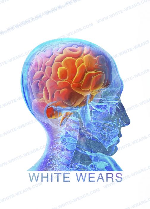 картинка Футболка женская белая с принтом «Мозг» от интернет магазина